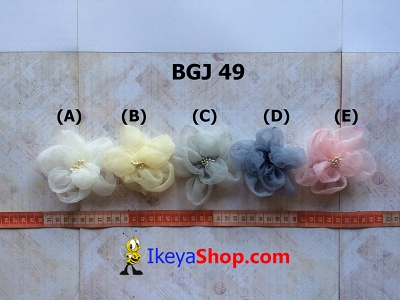 BGJ 49 A E  large2